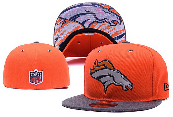 NFL Fitted Cap 039