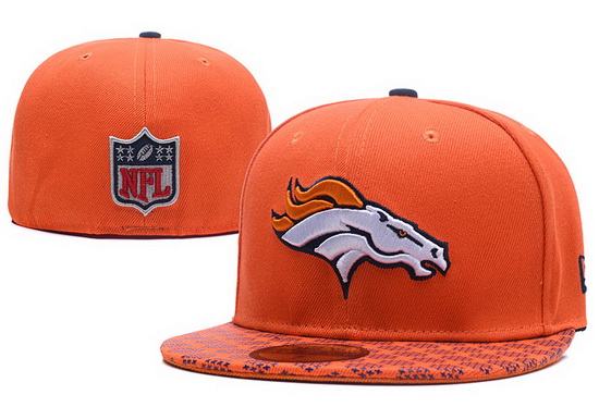 NFL Fitted Cap 069