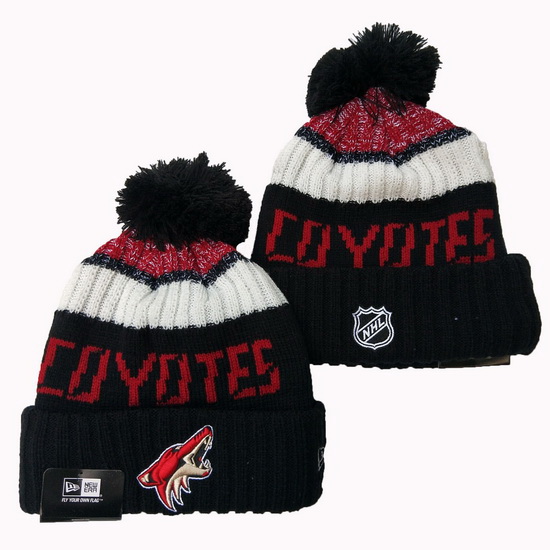 Arizona Coyotes Beanies 23C 002