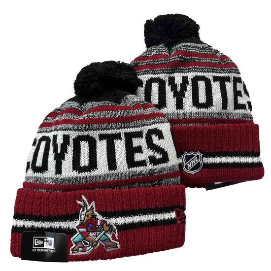 Arizona Coyotes Beanies 23C 001