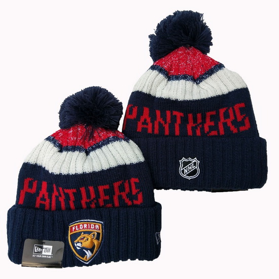 Florida Panthers Beanies 23C 002