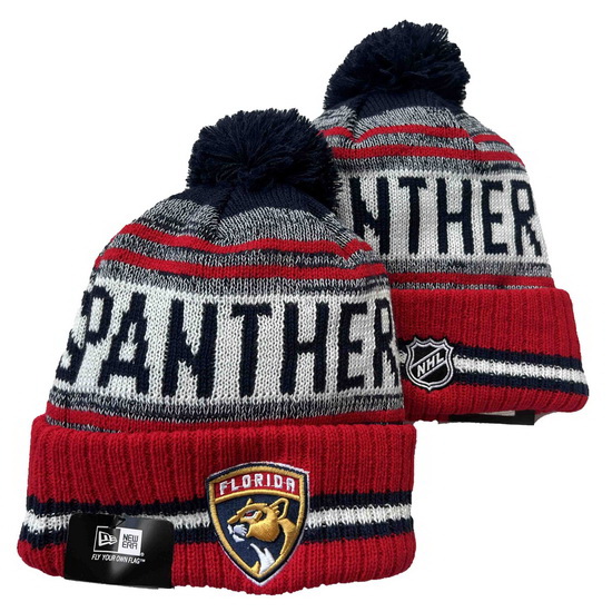 Florida Panthers Beanies 23C 001