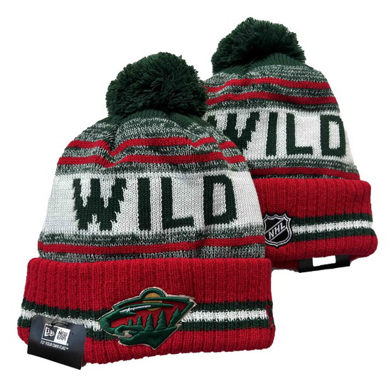 Minnesota Wild Beanies 23C 001