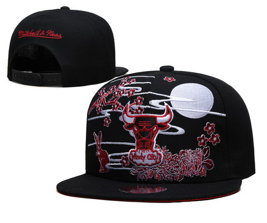 Chicago Bulls Snapback Cap 23C 004