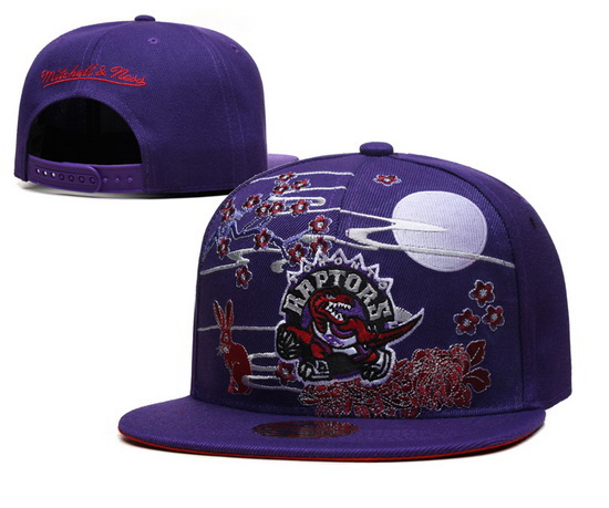 Toronto Raptors Snapback Cap 23C 002