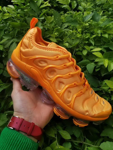 Nike Air VaporMax Plus Women Shoes 311