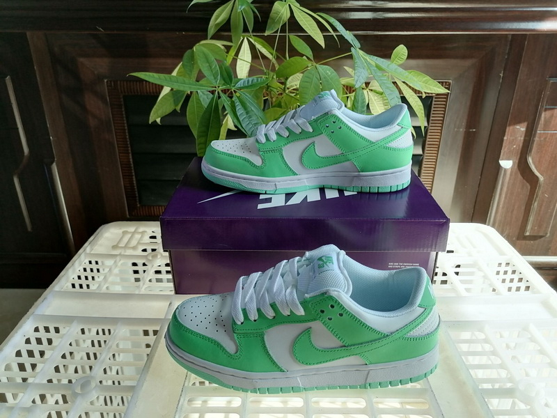 Nike SB Dunk Low Women Shoes 556