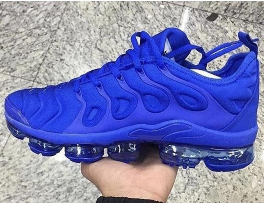 Men Nike Vapor Max Plus TN Blue Shoes