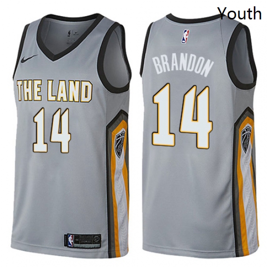 Youth Nike Cleveland Cavaliers 14 Terrell Brandon Swingman Gray NBA Jersey City Edition