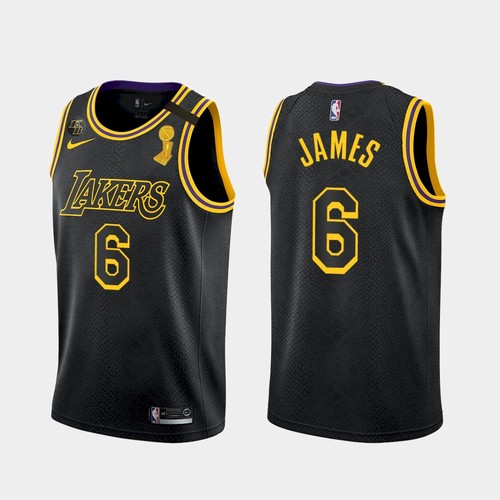Men's Los Angeles Lakers LeBron James #6 Jersey Black Mamba 2021