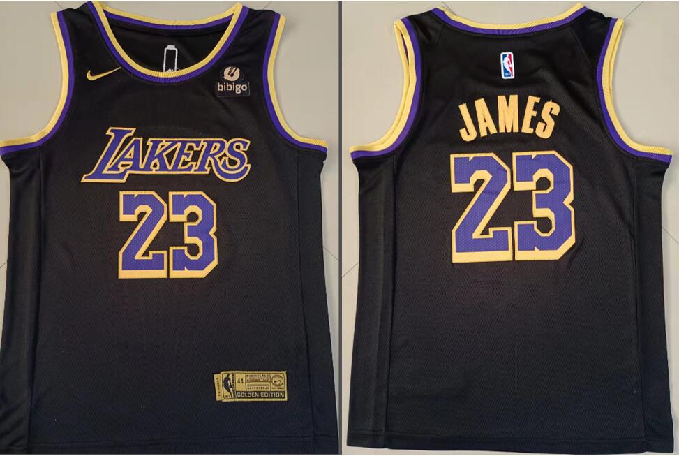 Men Los Angeles Lakers Lebron James #23 Black Purple Stitched NBA Jersey