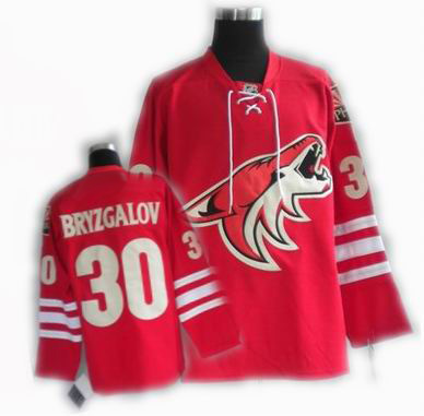 cheap Phoenix Coyotes jersey #30 BRYZGALOV jersey red