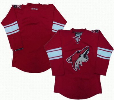 Phoenix Coyotes blank red jerseys