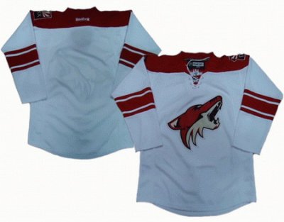 Phoenix Coyotes blank white jerseys