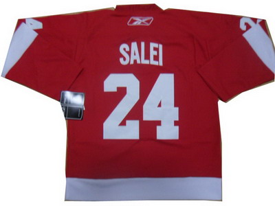 Detroit Red Wings #24 SALEI red NHL ice hockey Jerseys