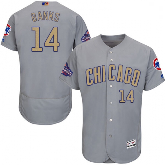 Mens Majestic Chicago Cubs 14 Ernie Banks Authentic Gray 2017 Go