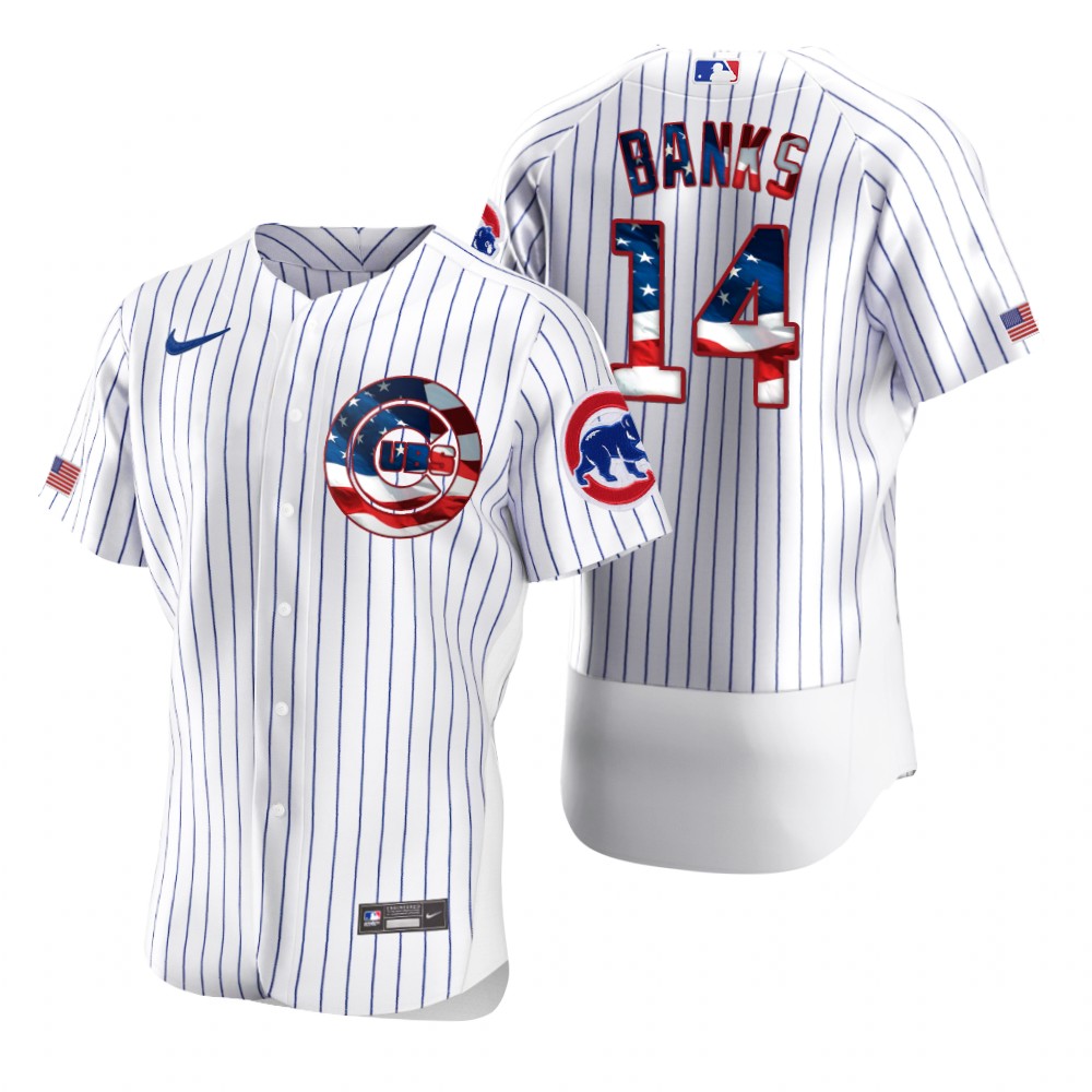 Men Chicago Cubs 14 Ernie Banks Men Nike White Fluttering USA Flag Limited Edition Flex Base MLB Jer