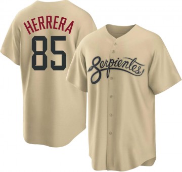 Men Arizona Diamondbacks Jose Herrera Nike 2021 City Connect Authentic MLB Jersey Gold