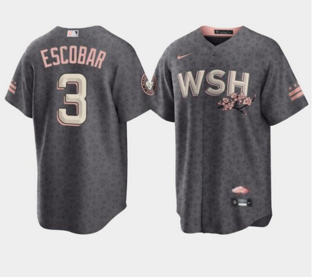 Men Washington Nationals 3 Alcides Escobar 2022 Grey City Connect Cherry Blossom Cool Base Stitched 