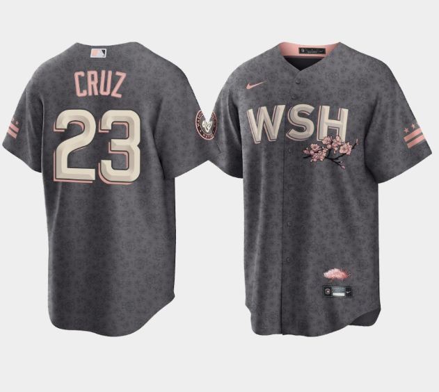 Men Washington Nationals 23 Nelson Cruz 2022 Grey City Connect Cherry Blossom Cool Base Stitched jer