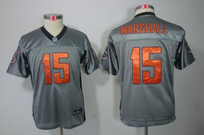 Nike Youth Chicago Bears #15 Brandon Marshall[Youth Grey Shadow Elite Jerseys]